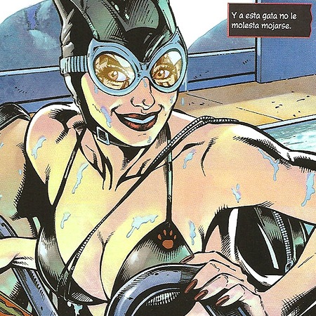 Catwoman la heroína más sexy del Nuevo Universo DC